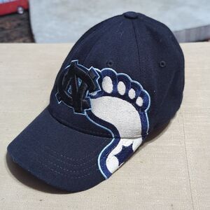 North Carolina tar heels NCAA youth fitted cap